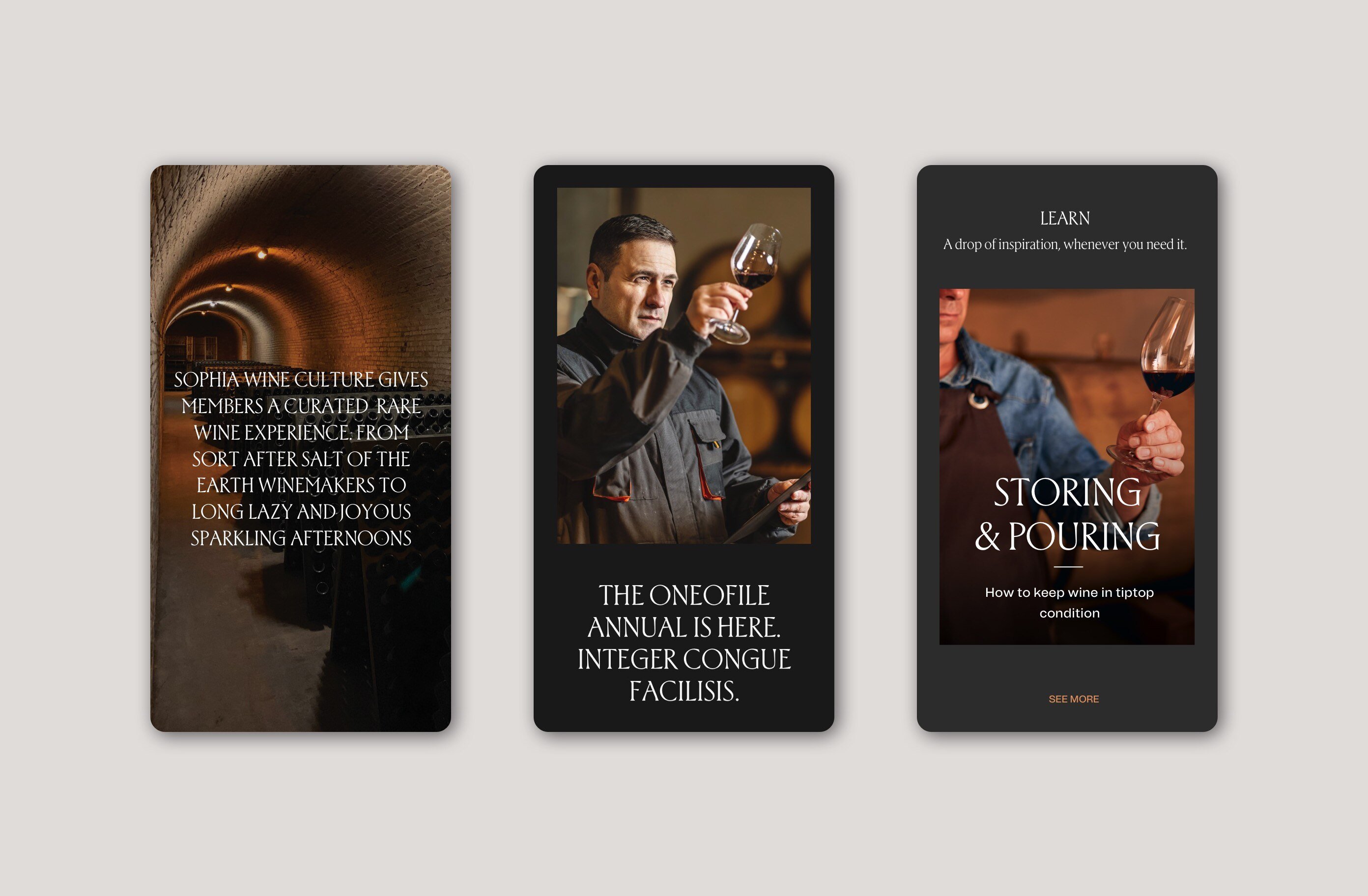 Website design – Sophia Wine Culture