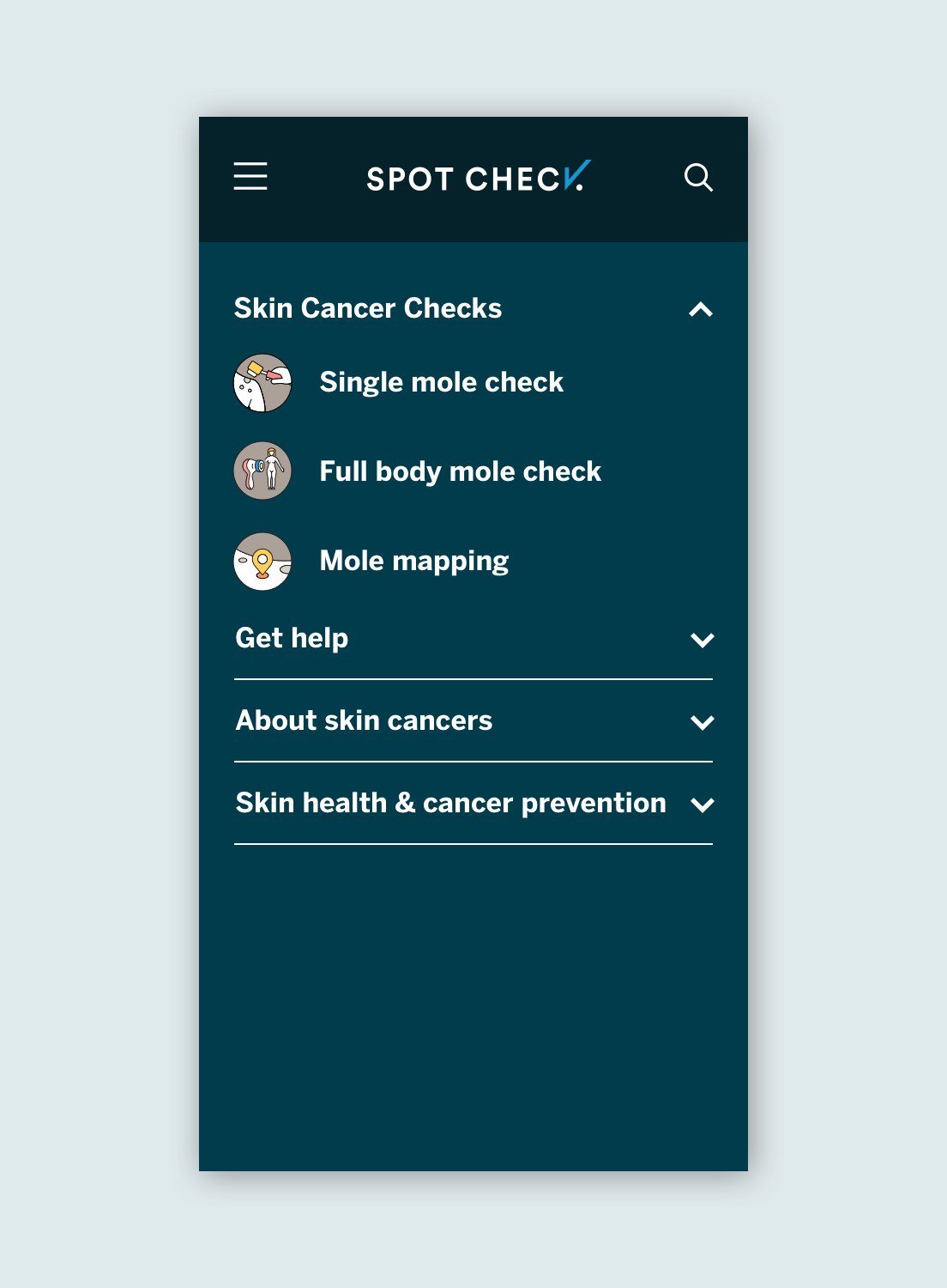 Website UI design – Spot Check